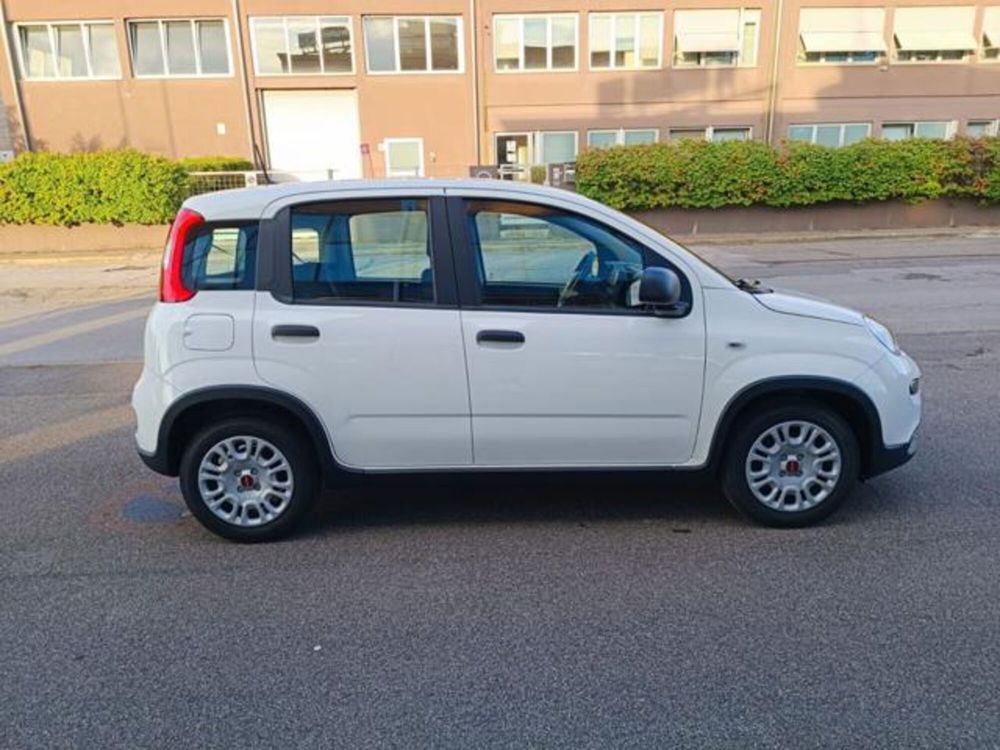 Fiat Panda nuova a Pisa (15)