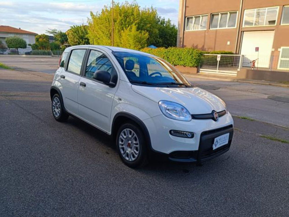 Fiat Panda nuova a Pisa (16)