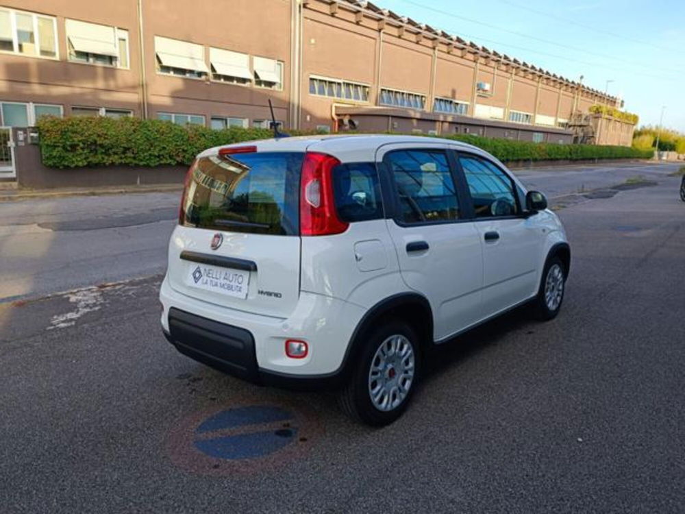 Fiat Panda nuova a Pisa (17)