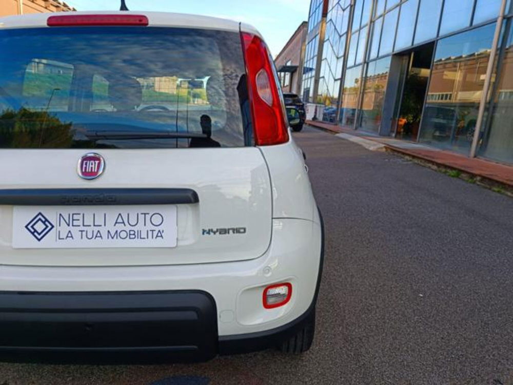 Fiat Panda nuova a Pisa (18)