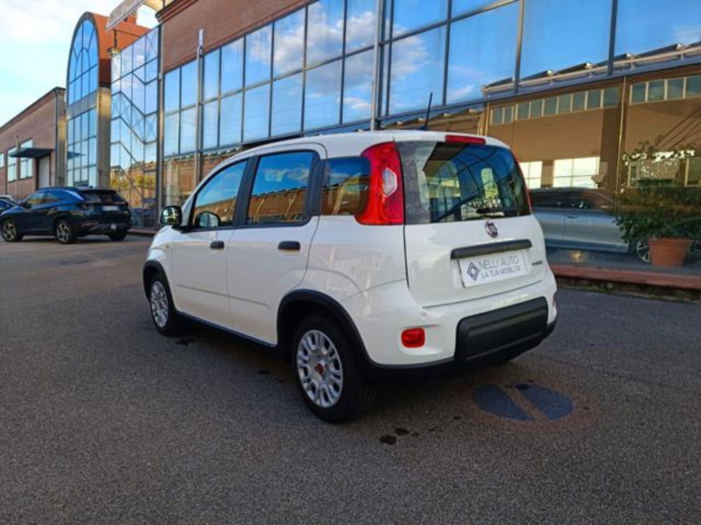 Fiat Panda nuova a Pisa (19)