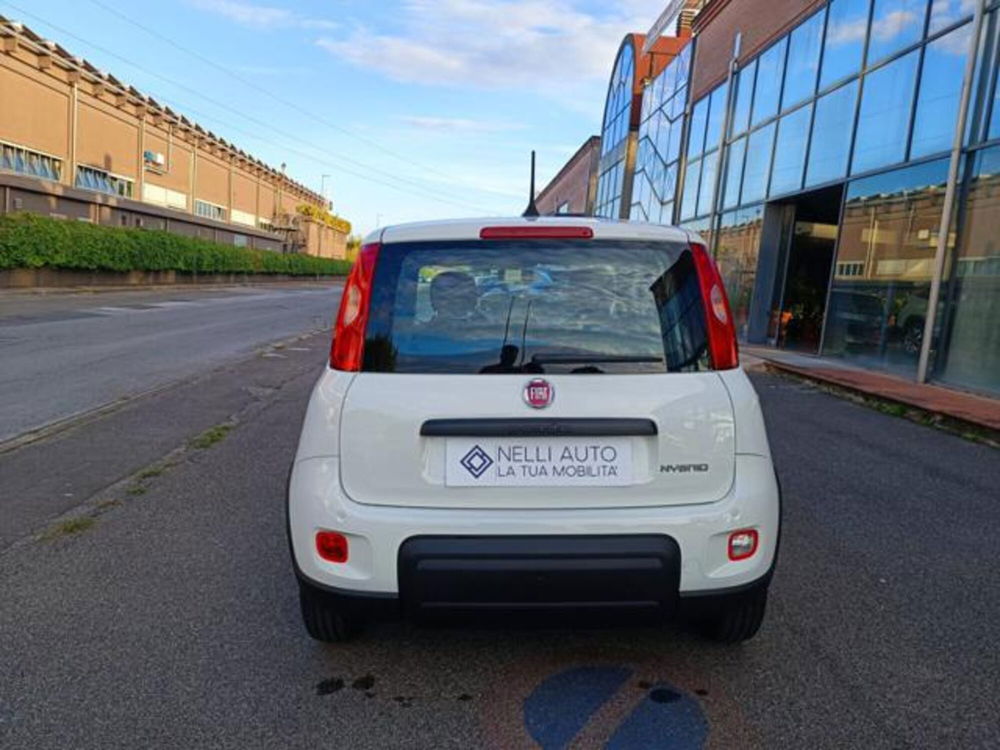 Fiat Panda nuova a Pisa (20)