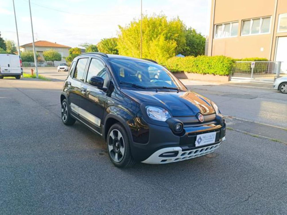 Fiat Panda nuova a Pisa (13)