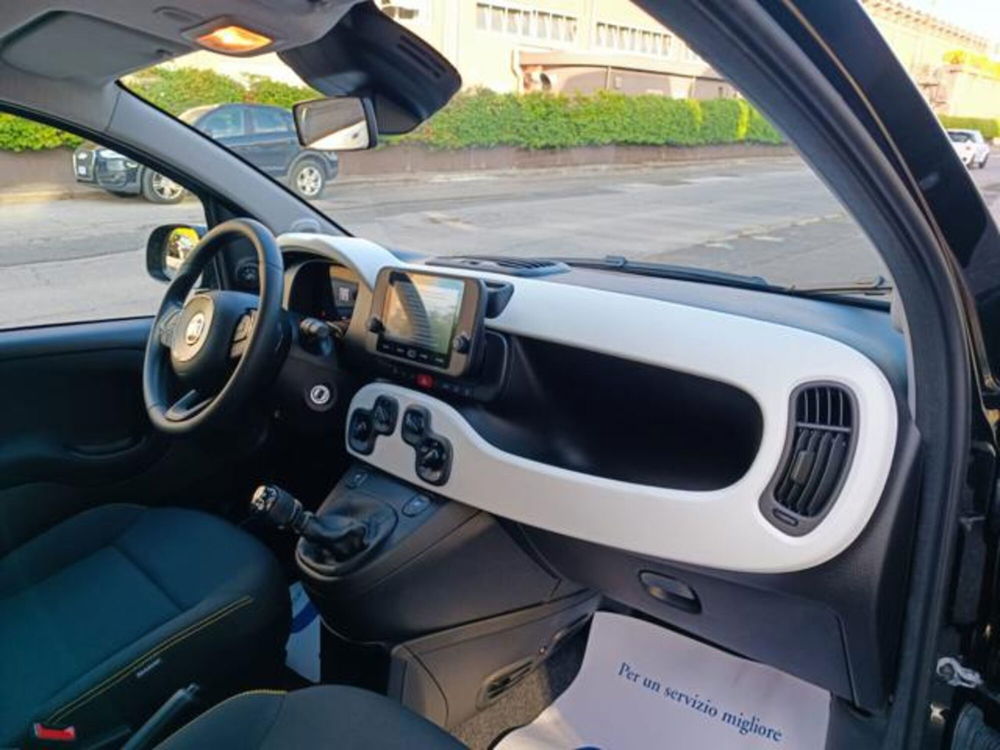 Fiat Panda nuova a Pisa (15)