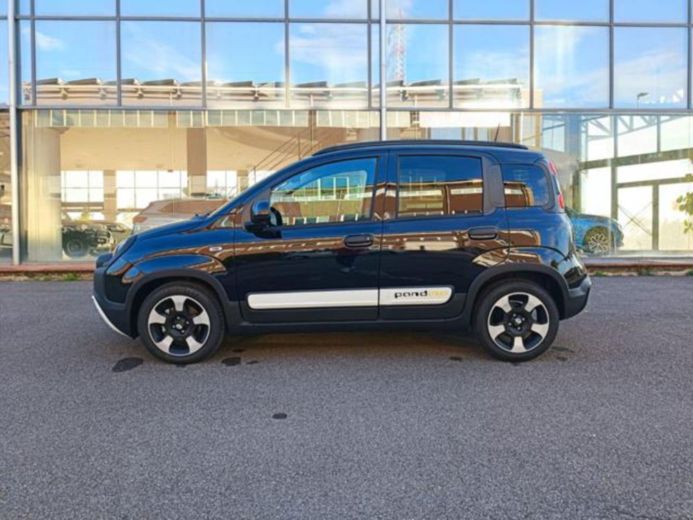 Fiat Panda nuova a Pisa (19)