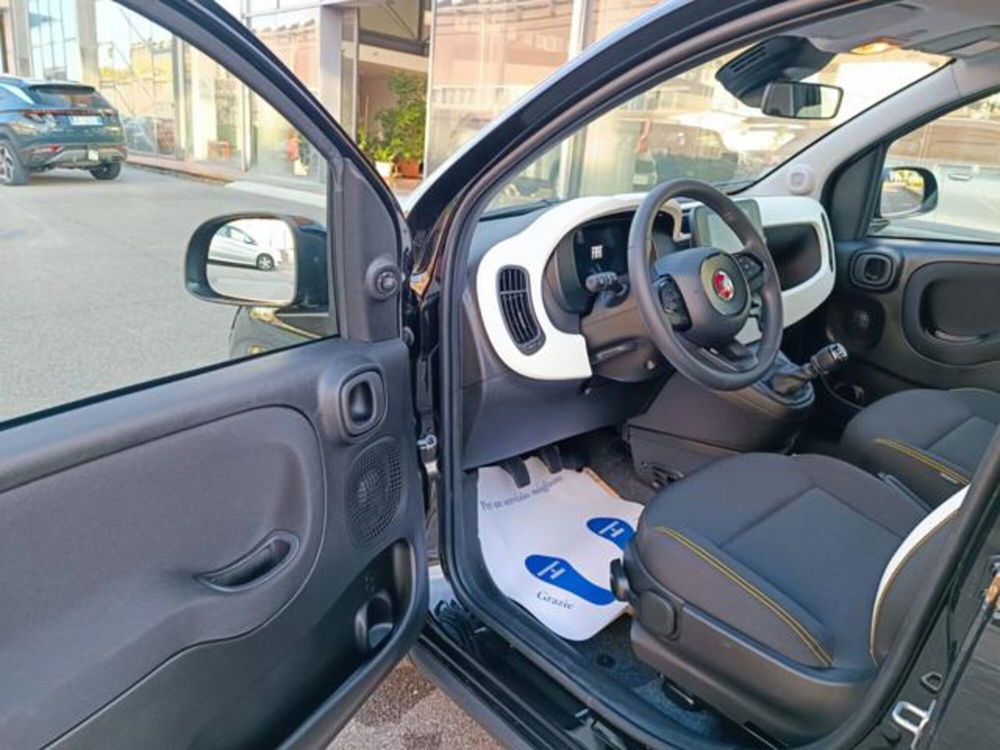 Fiat Panda nuova a Pisa (2)