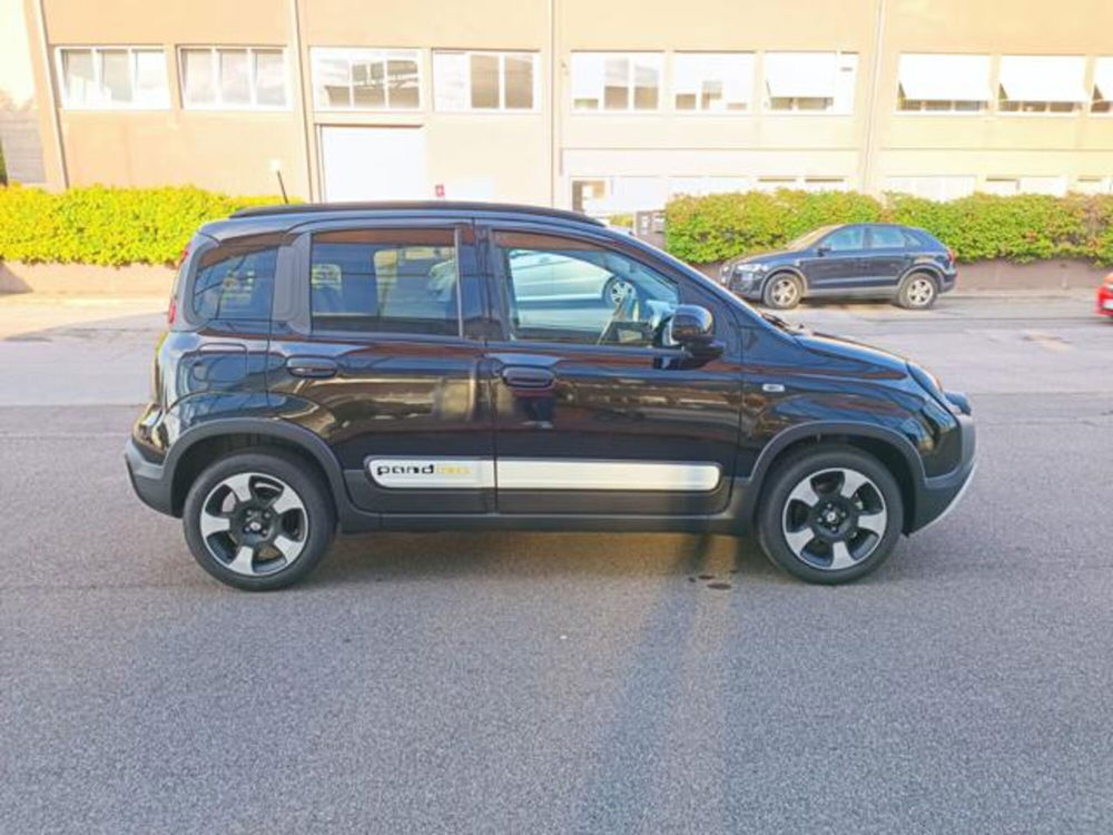 Fiat Panda nuova a Pisa (20)