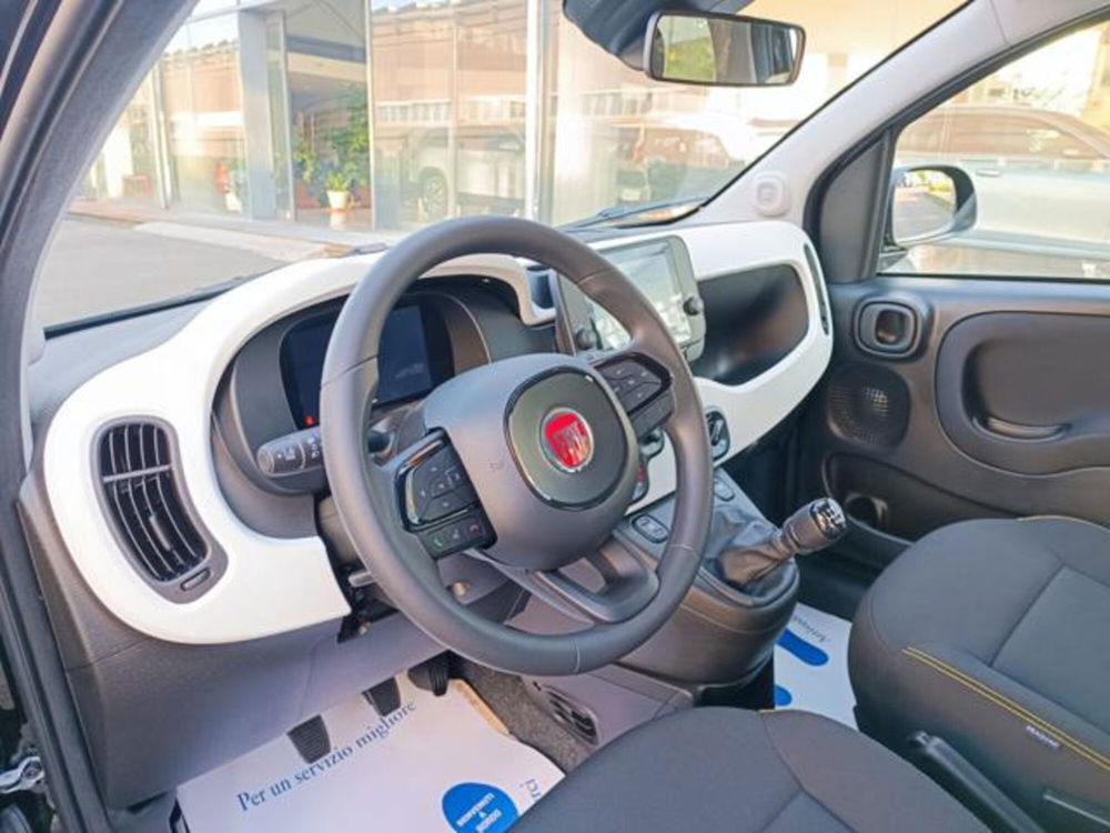 Fiat Panda nuova a Pisa (8)