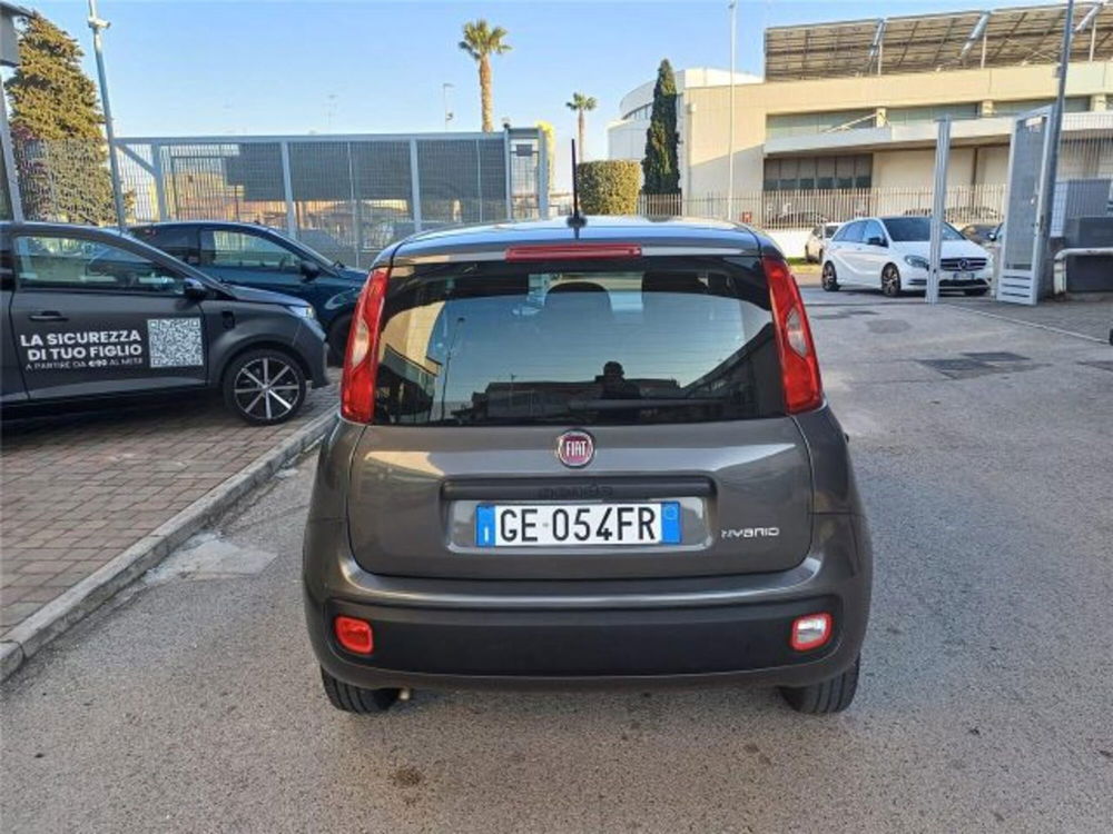 Fiat Panda usata a Bari (5)