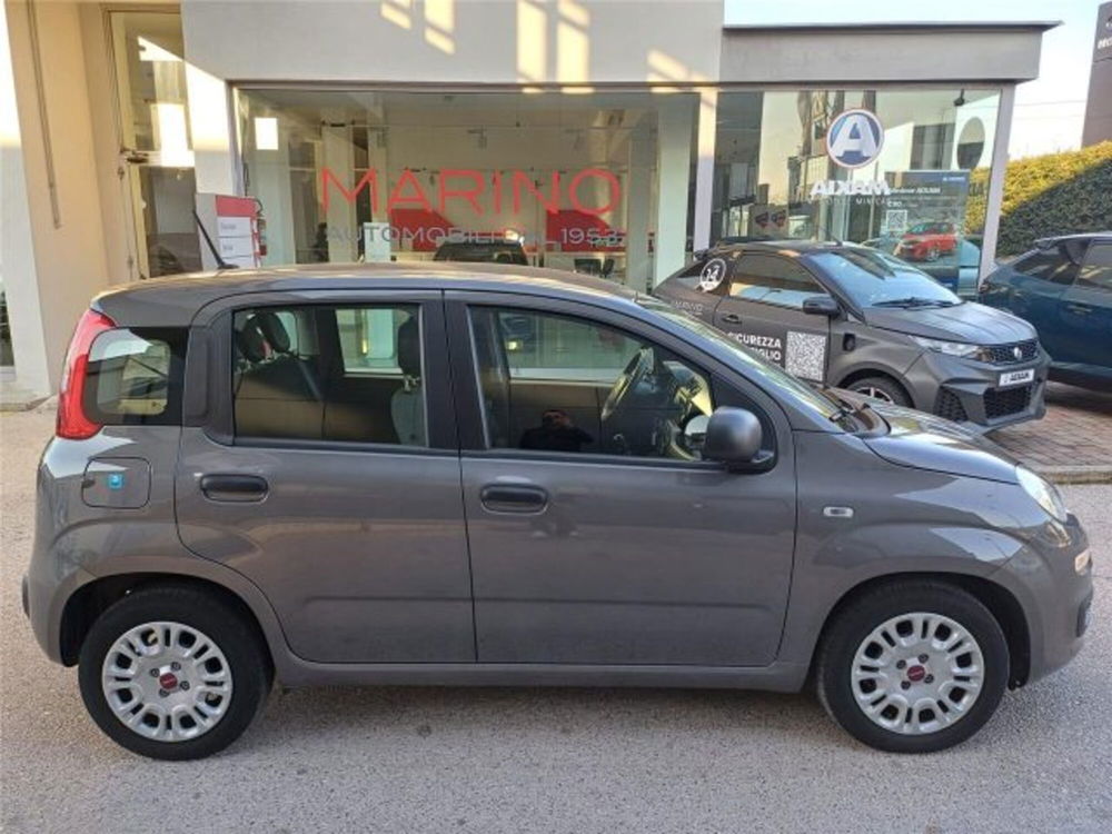 Fiat Panda usata a Bari (8)