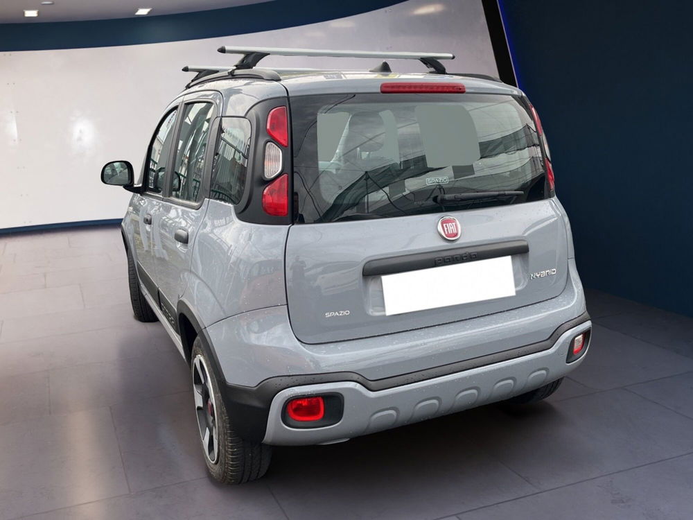 Fiat Panda Cross usata a Torino (4)