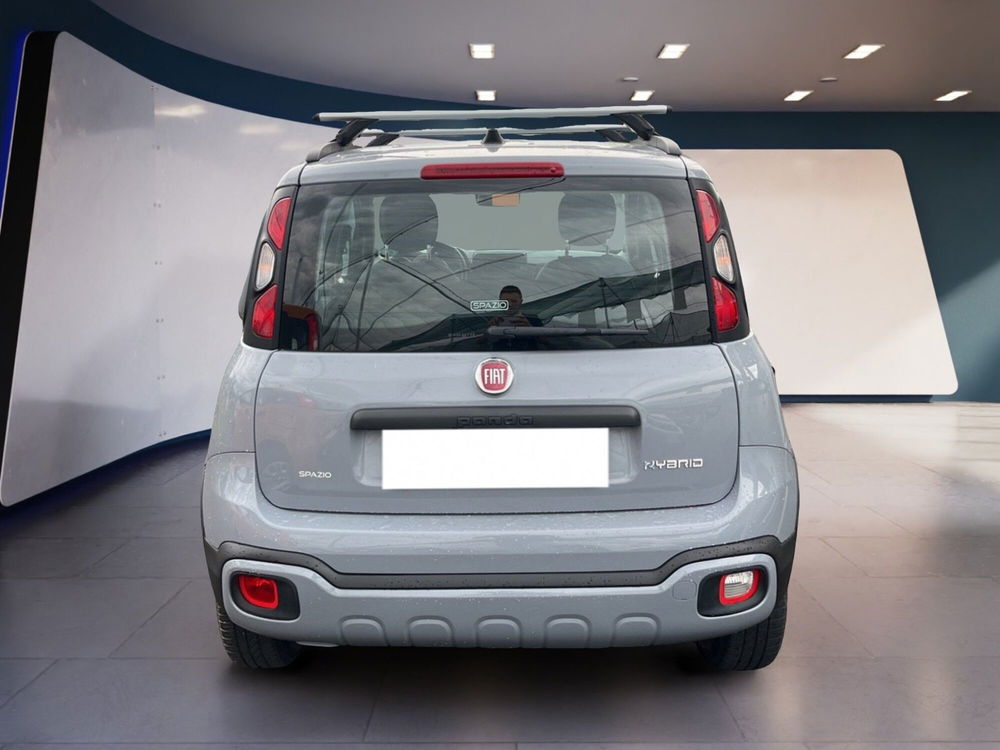 Fiat Panda Cross usata a Torino (6)