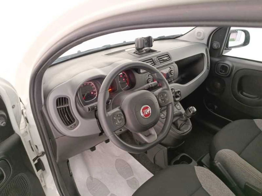 Fiat Panda usata a Treviso (10)