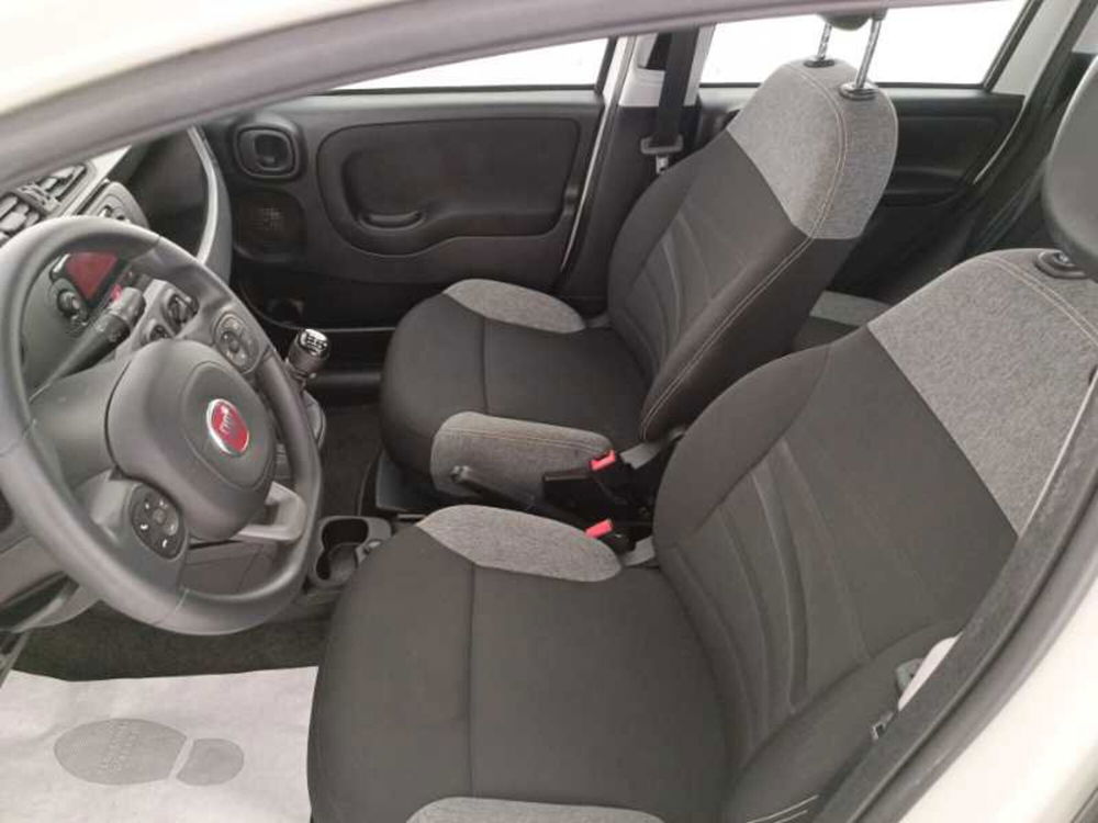 Fiat Panda usata a Treviso (11)