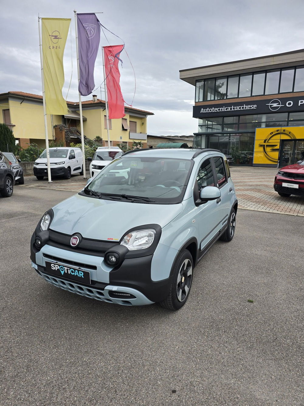 Fiat Panda usata a Lucca