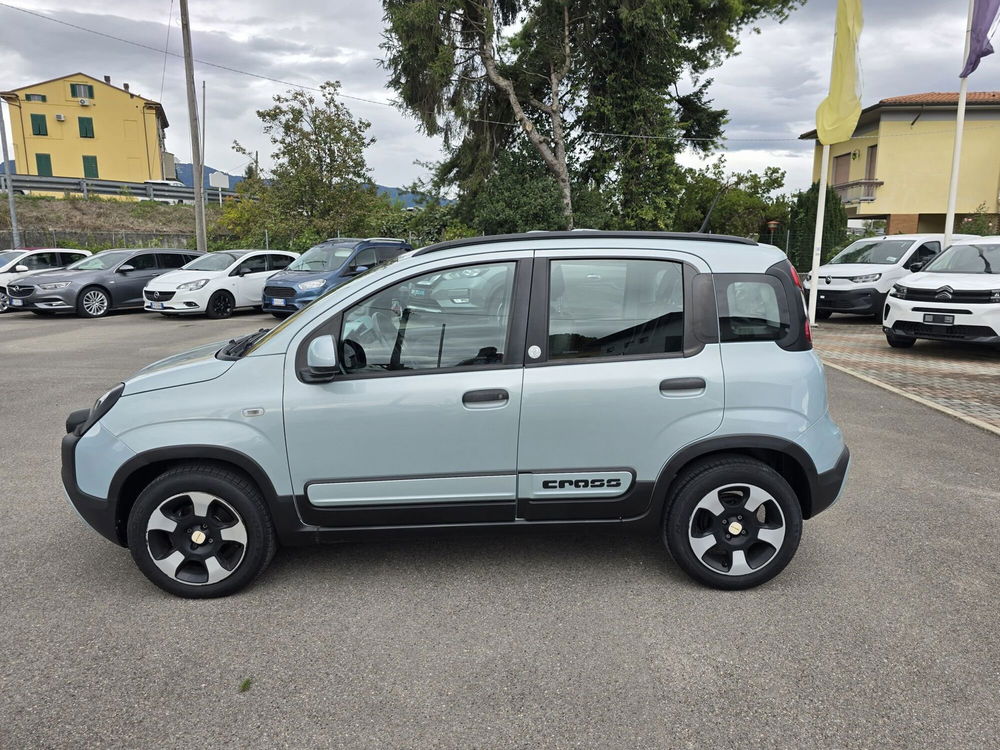 Fiat Panda usata a Lucca (10)