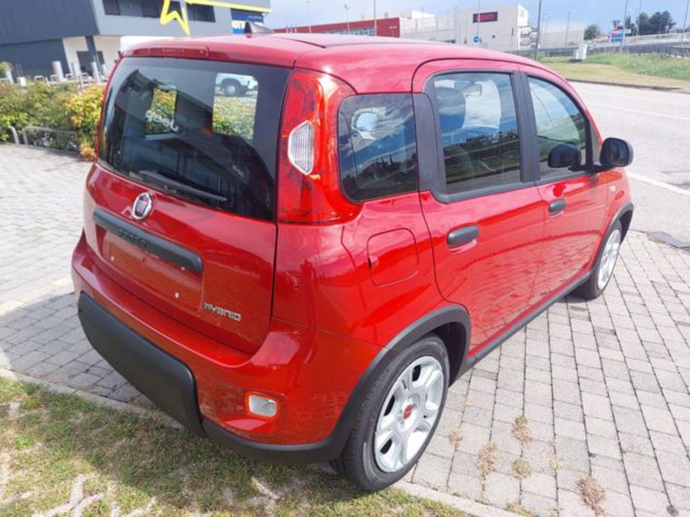 Fiat Panda nuova a Padova (3)