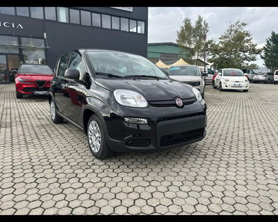 Fiat Panda 1.0 firefly hybrid s&amp;s 70cv 5p.ti nuova a Massarosa