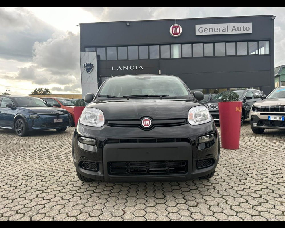 Fiat Panda nuova a Lucca (2)