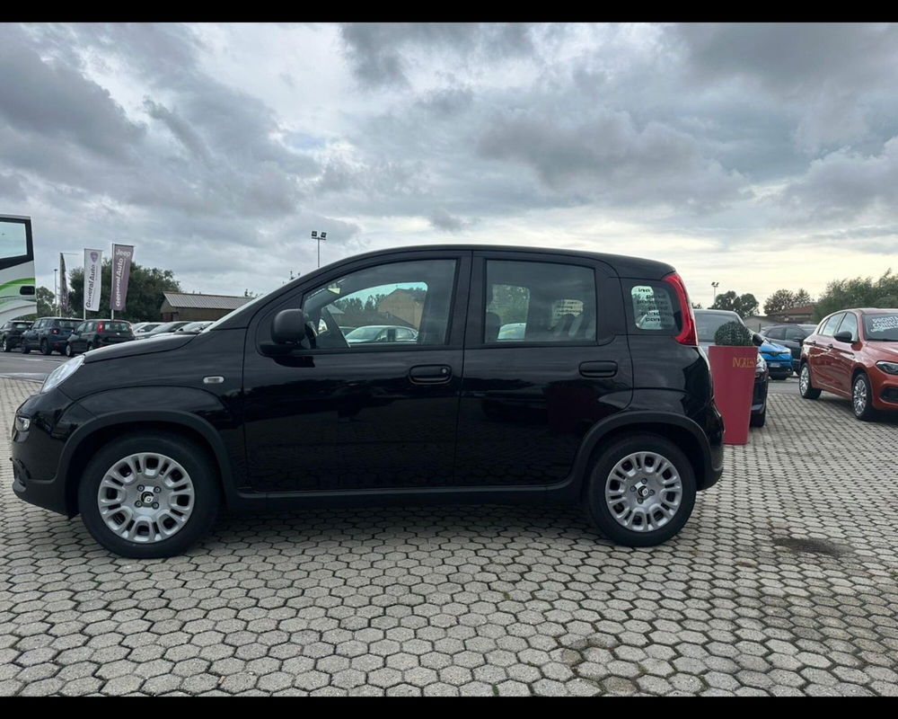 Fiat Panda nuova a Lucca (4)