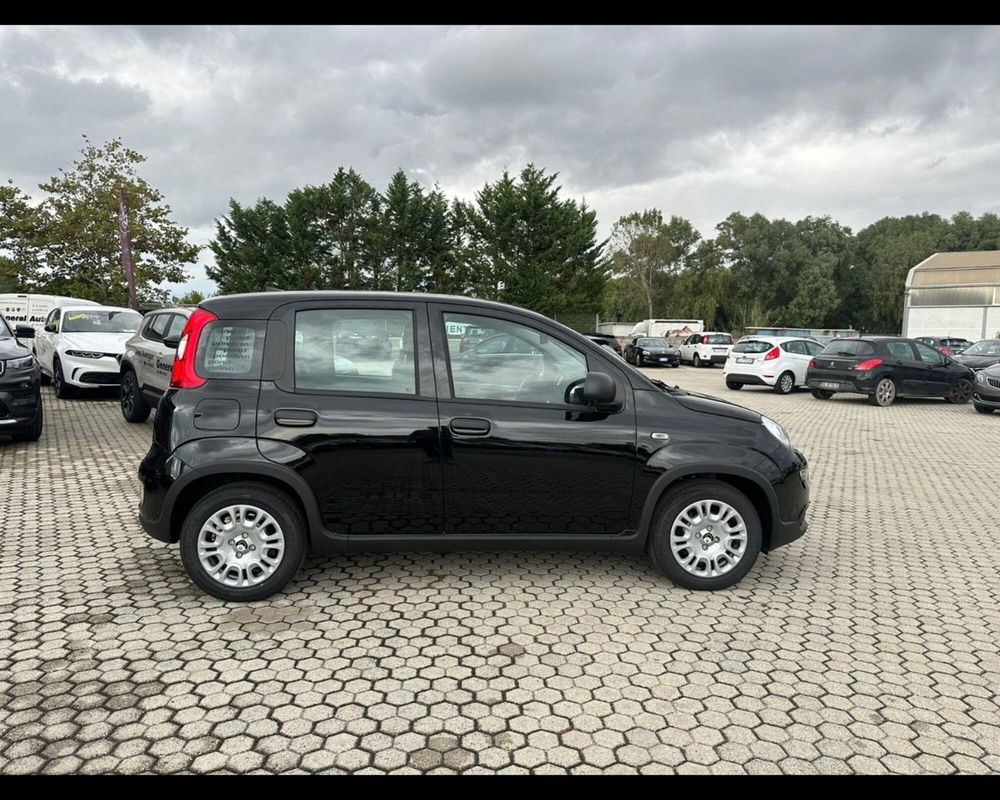 Fiat Panda nuova a Lucca (8)