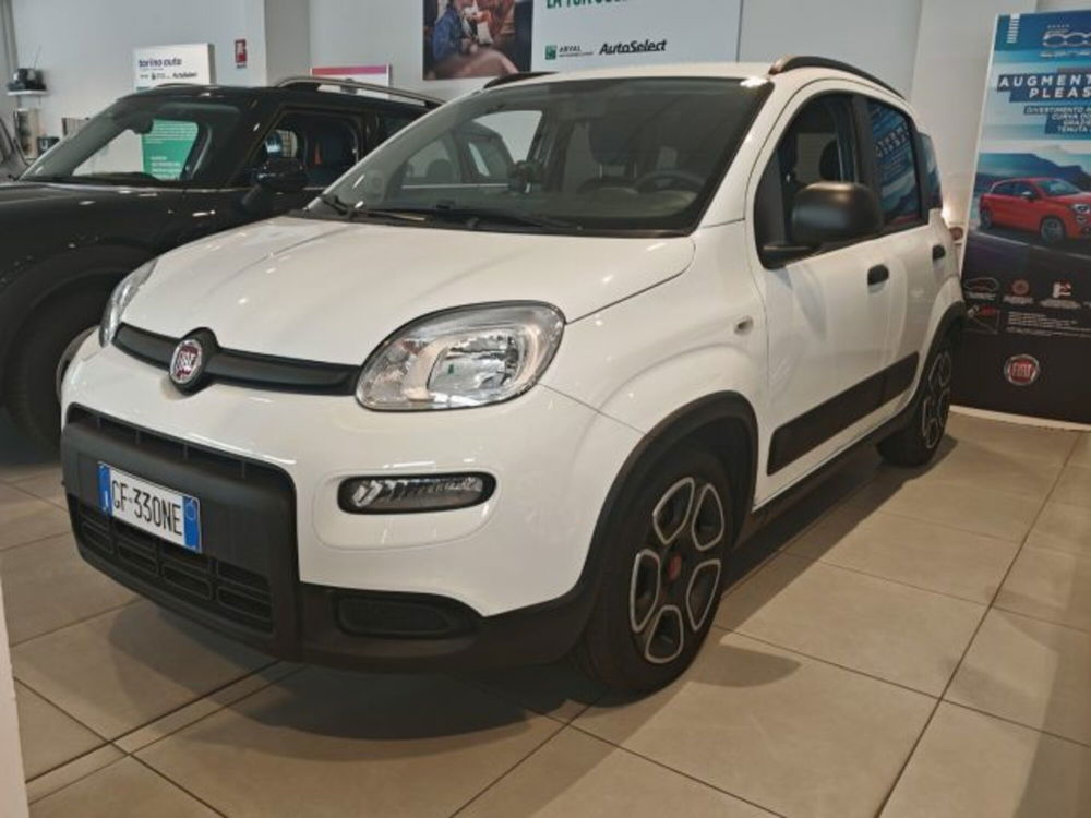 Fiat Panda usata a Torino (2)