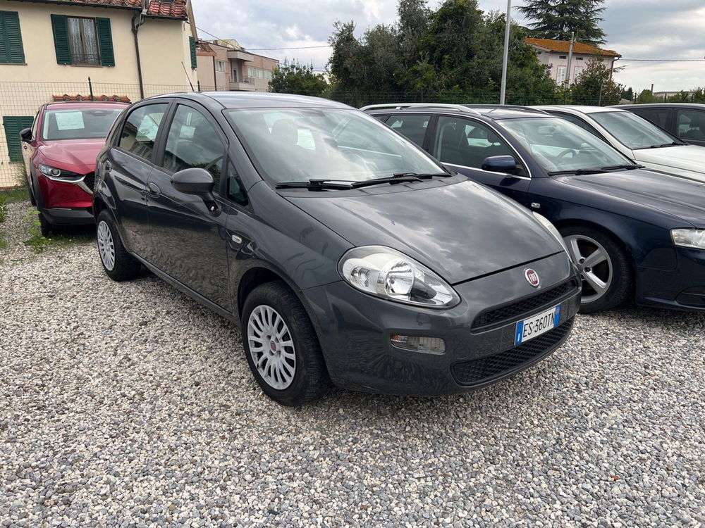 Fiat Punto usata a Lucca