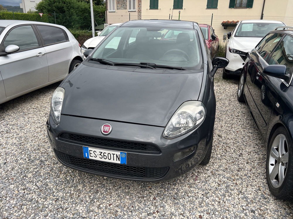 Fiat Punto usata a Lucca (3)