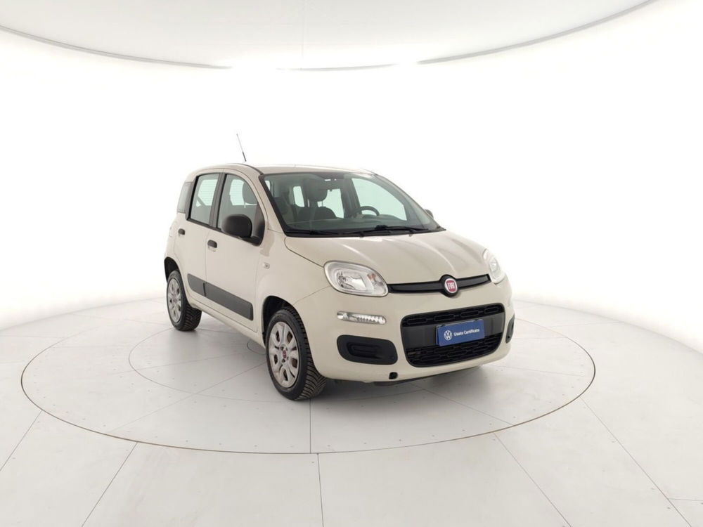 Fiat Panda usata a Massa-Carrara (4)