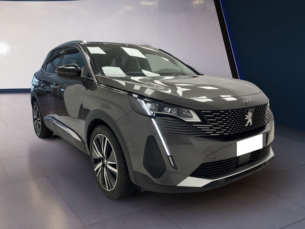 Peugeot 3008 usata a Torino (2)