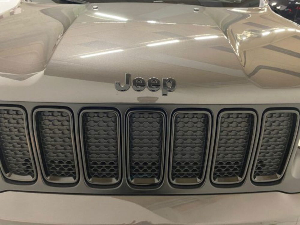 Jeep Renegade usata a Novara (10)