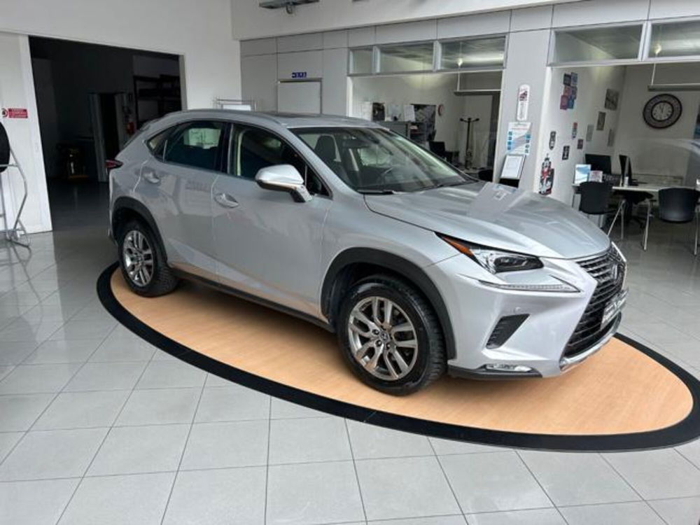 Lexus NX usata a Alessandria