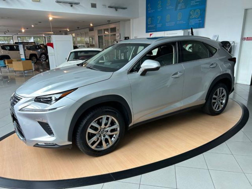 Lexus NX usata a Alessandria (2)