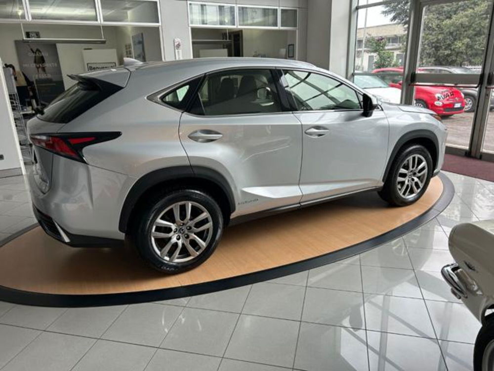 Lexus NX usata a Alessandria (4)