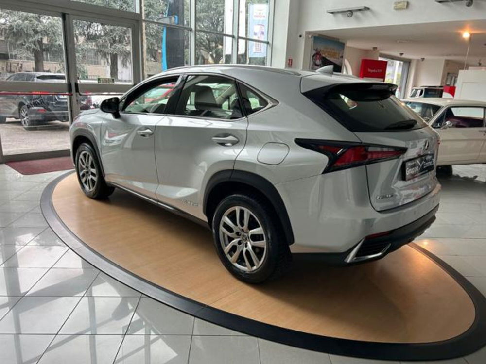 Lexus NX usata a Alessandria (5)