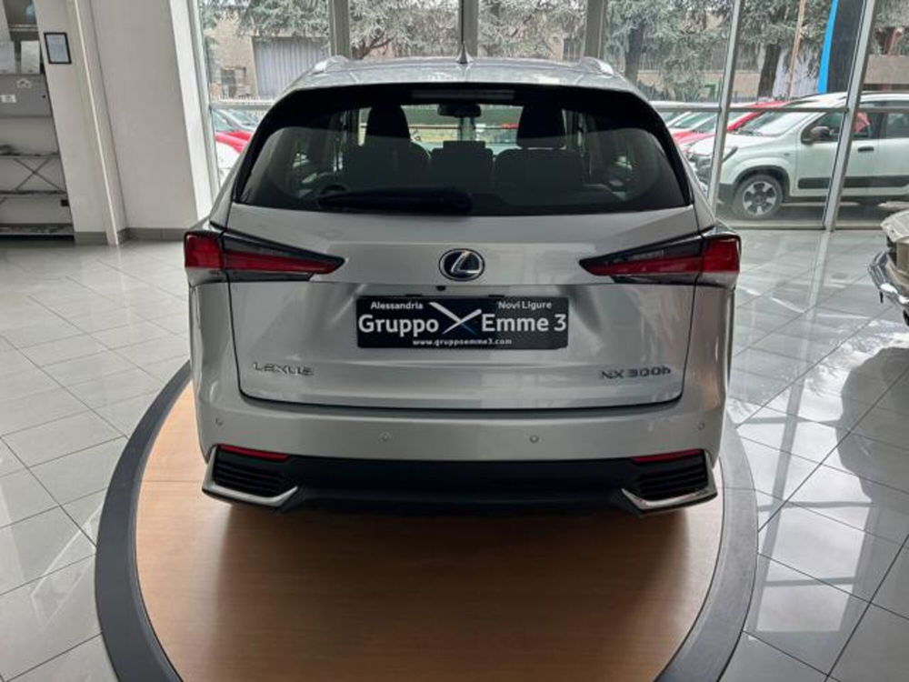 Lexus NX usata a Alessandria (6)