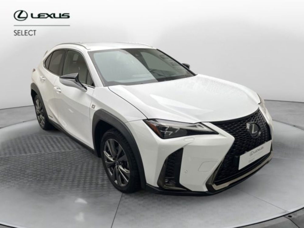 Lexus UX usata a Cuneo (2)