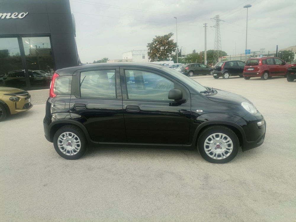 Fiat Panda Cross usata a Matera (4)