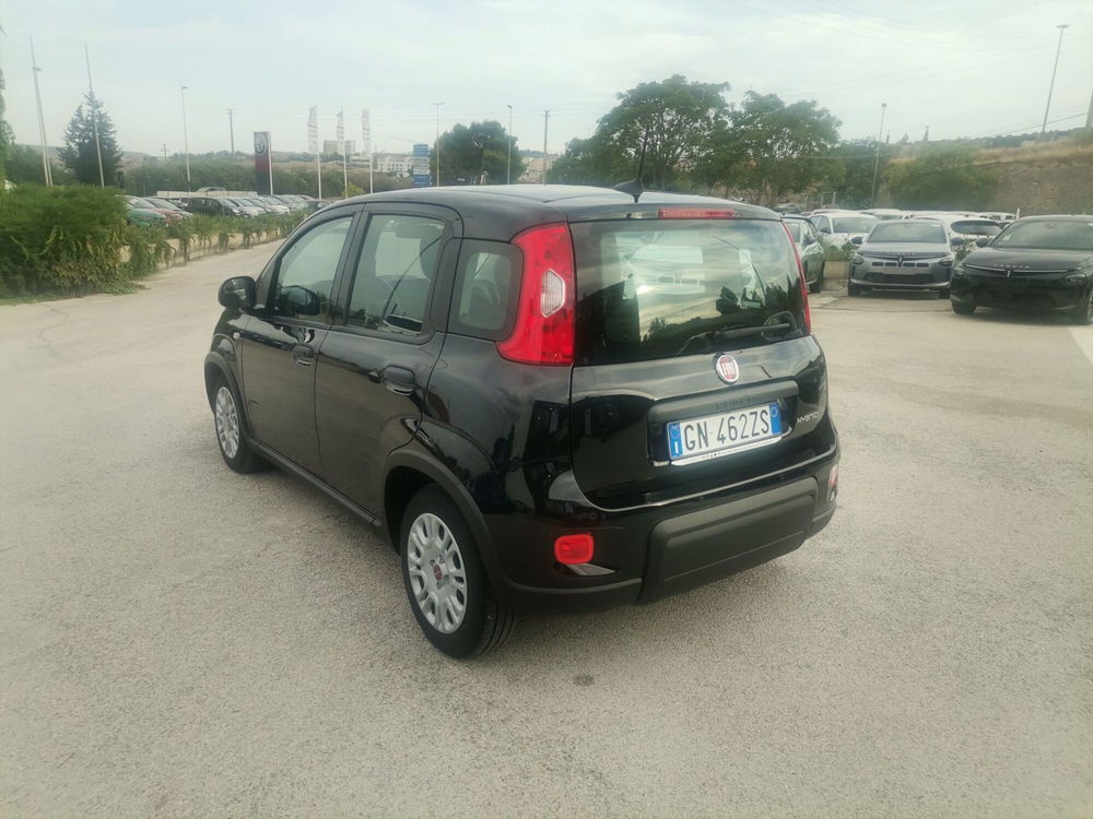 Fiat Panda Cross usata a Matera (7)