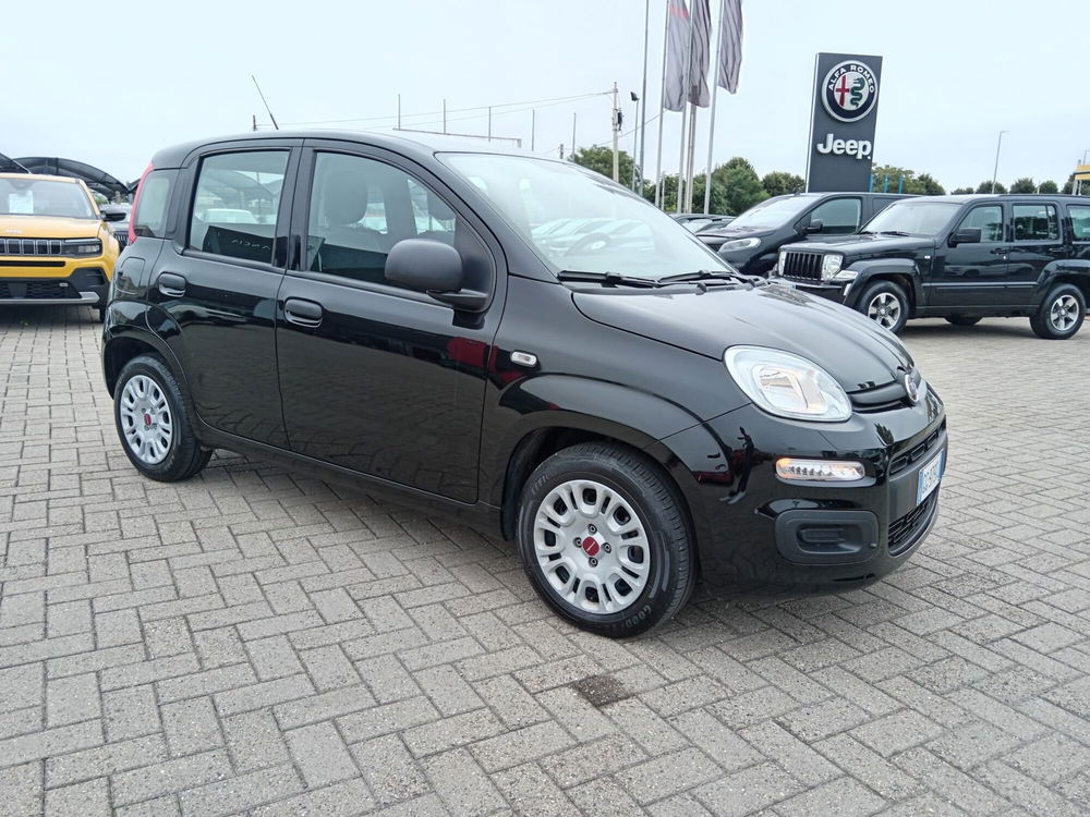 Fiat Panda Cross usata a Alessandria (3)