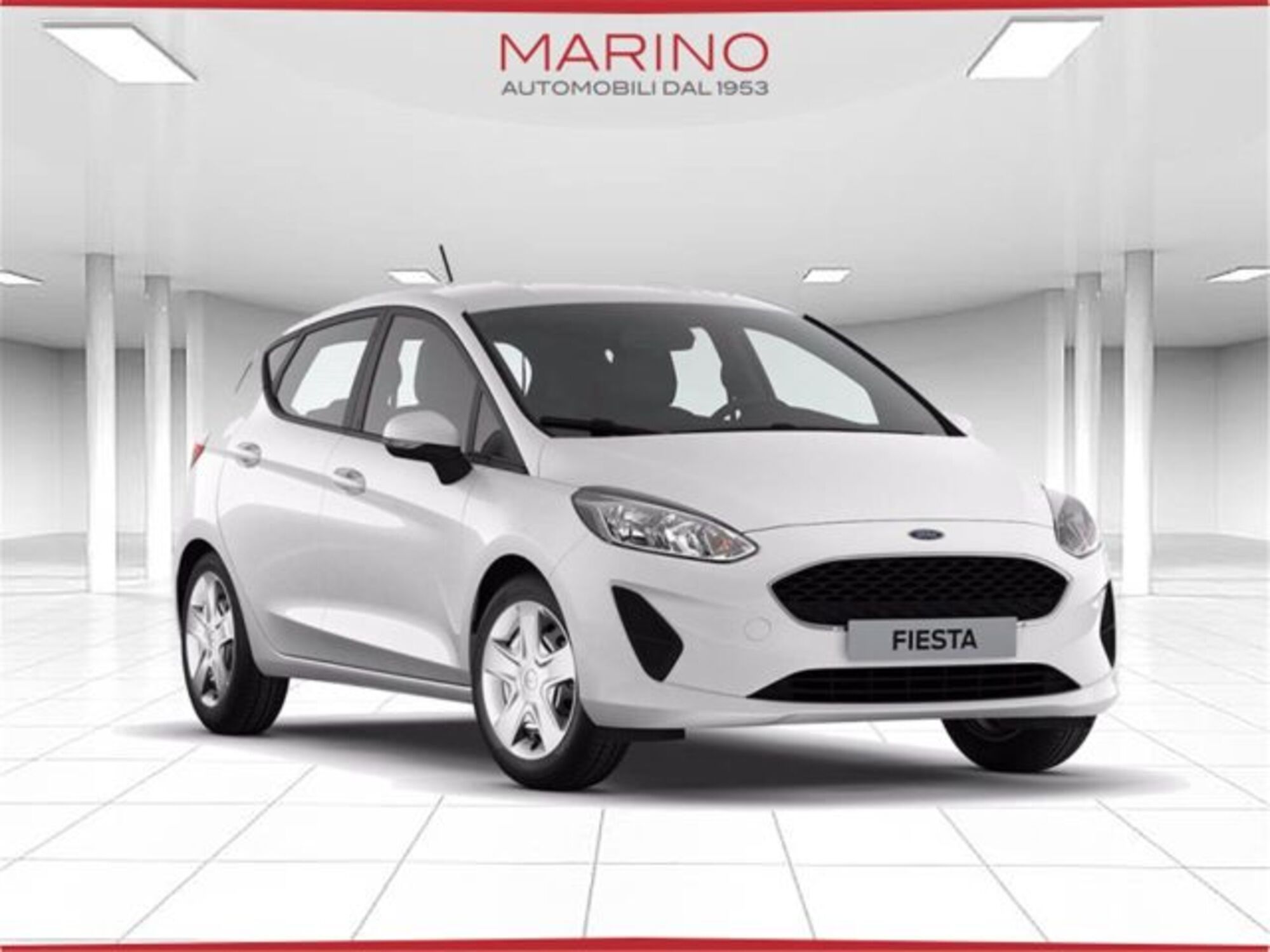 Ford Fiesta 1.5 TDCi 5 porte Business High del 2018 usata a Bari