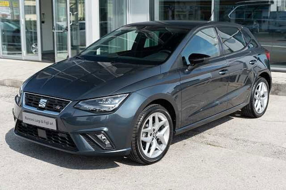 SEAT Ibiza usata a Rovigo (2)