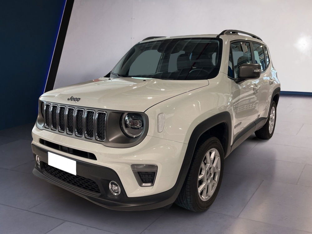 Jeep Renegade usata a Torino (3)