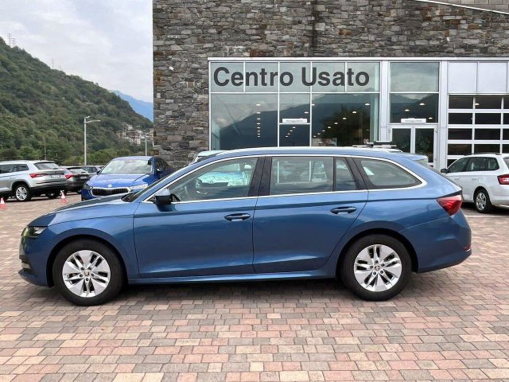 Skoda Octavia Station Wagon usata a Sondrio (2)