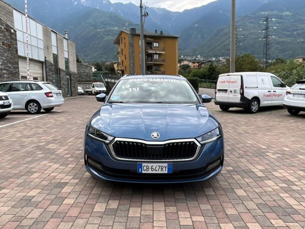 Skoda Octavia Station Wagon usata a Sondrio (3)