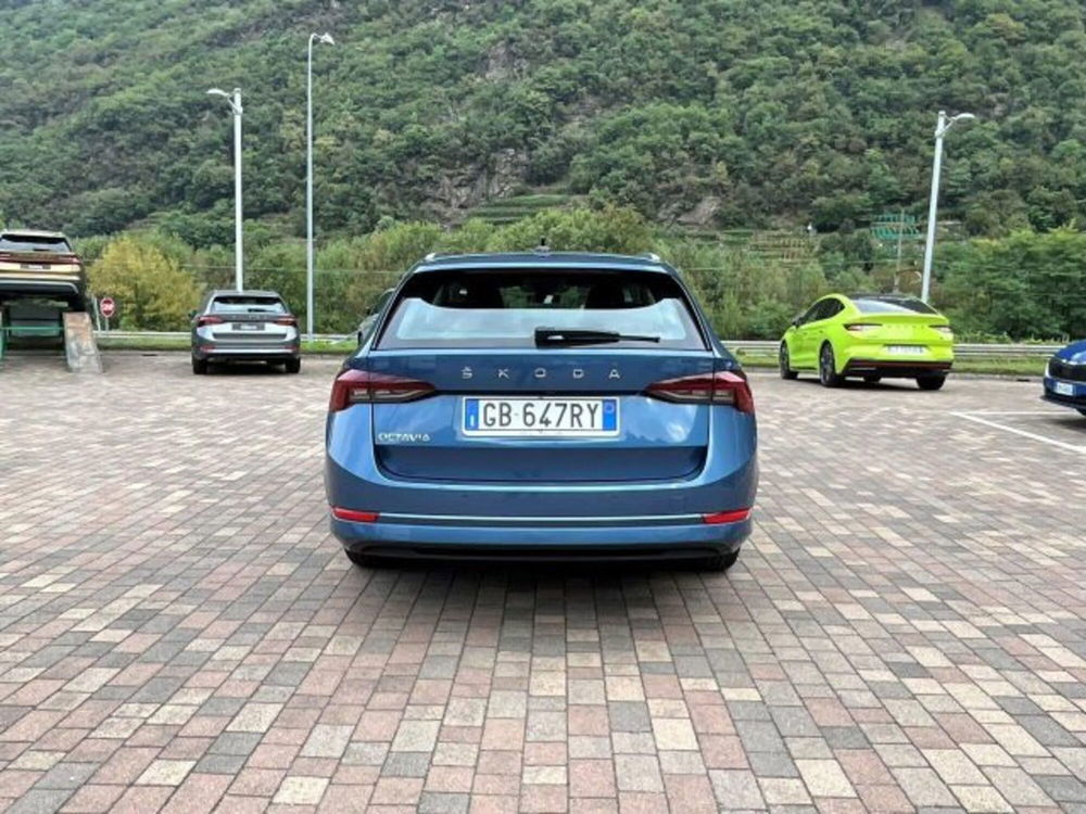 Skoda Octavia Station Wagon usata a Sondrio (9)