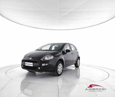 Fiat Punto 1.4 8V 5 porte Natural Power Young  del 2013 usata a Corciano