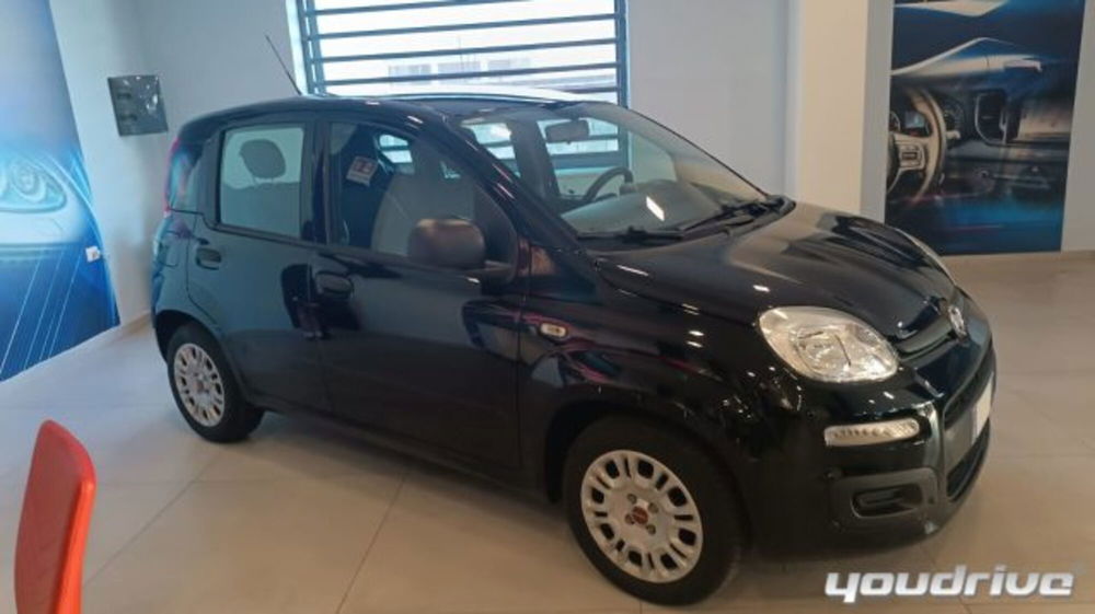 Fiat Panda usata a Napoli (3)