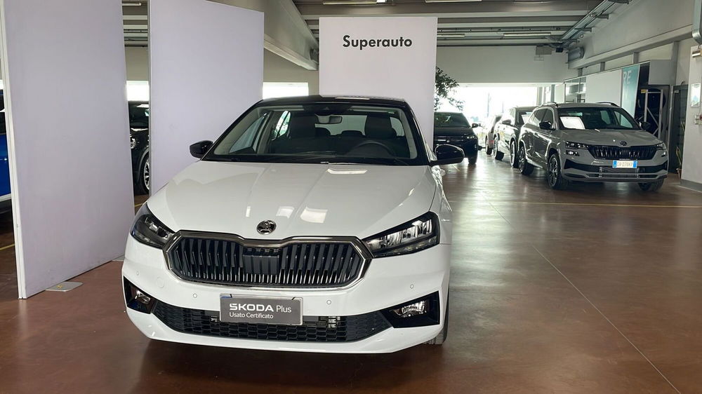 Skoda Fabia usata a Padova (2)