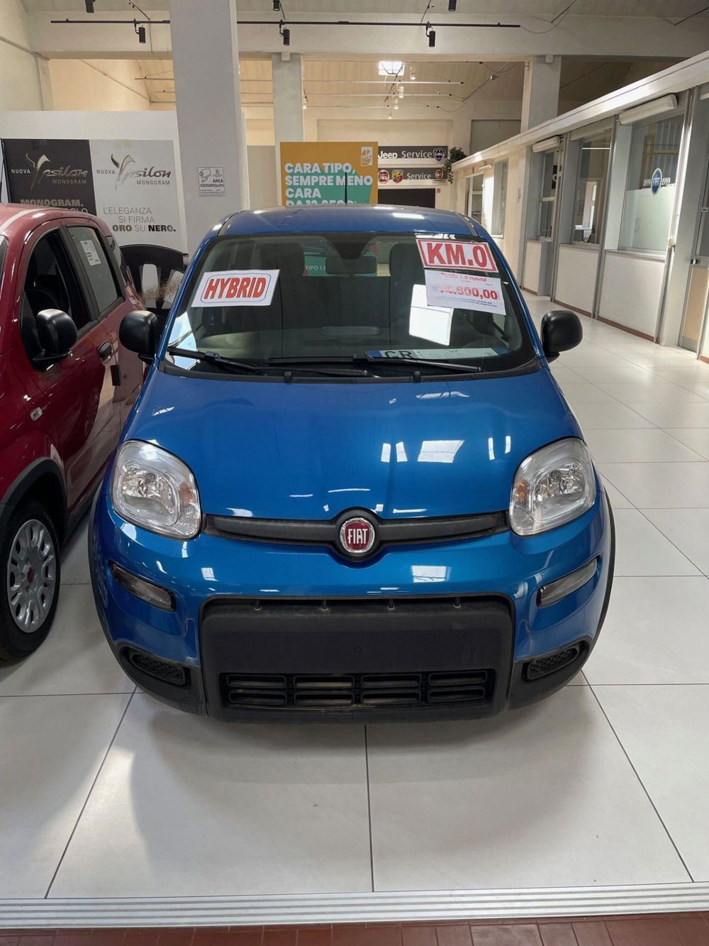 Fiat Panda Cross nuova a Lucca (2)